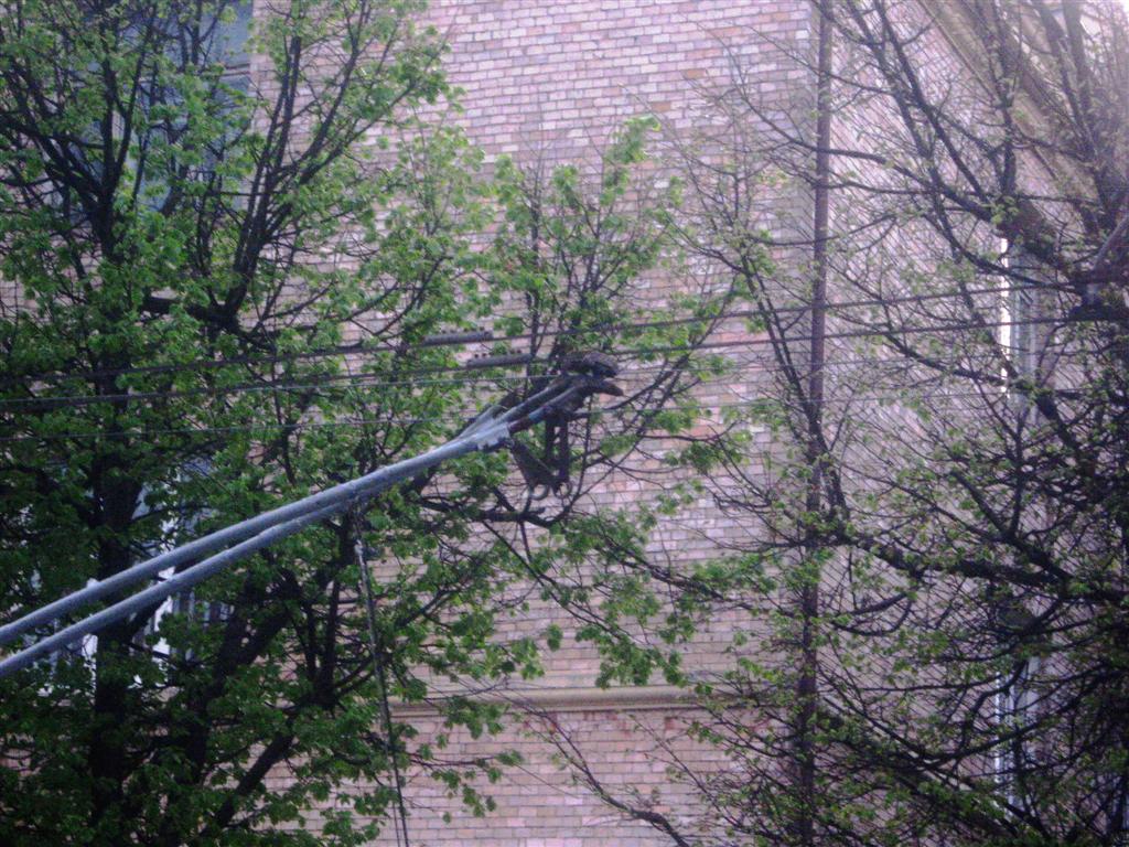 Rivne — Miscellaneous photos
