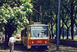 276 КБ