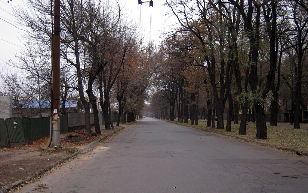 Kryvyi Rih — Tram and trolleybus lines and loops