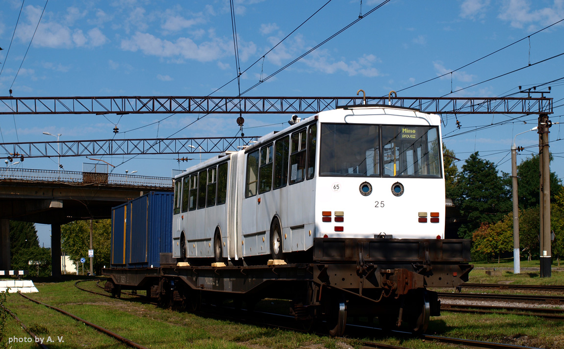 Lviv, Škoda 15TrM № 599; Lviv — troleubaas 2013