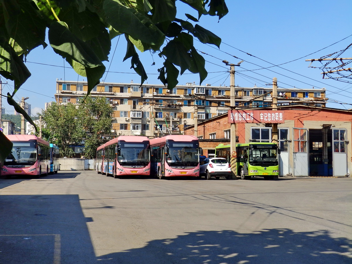 Далянь, Yutong ZK5125B № 7-6225; Далянь, Yutong ZK5125B № 7-6237; Далянь, Yutong ZK5125B № 7-6240; Далянь — Разные фотографии