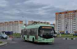 217 КБ