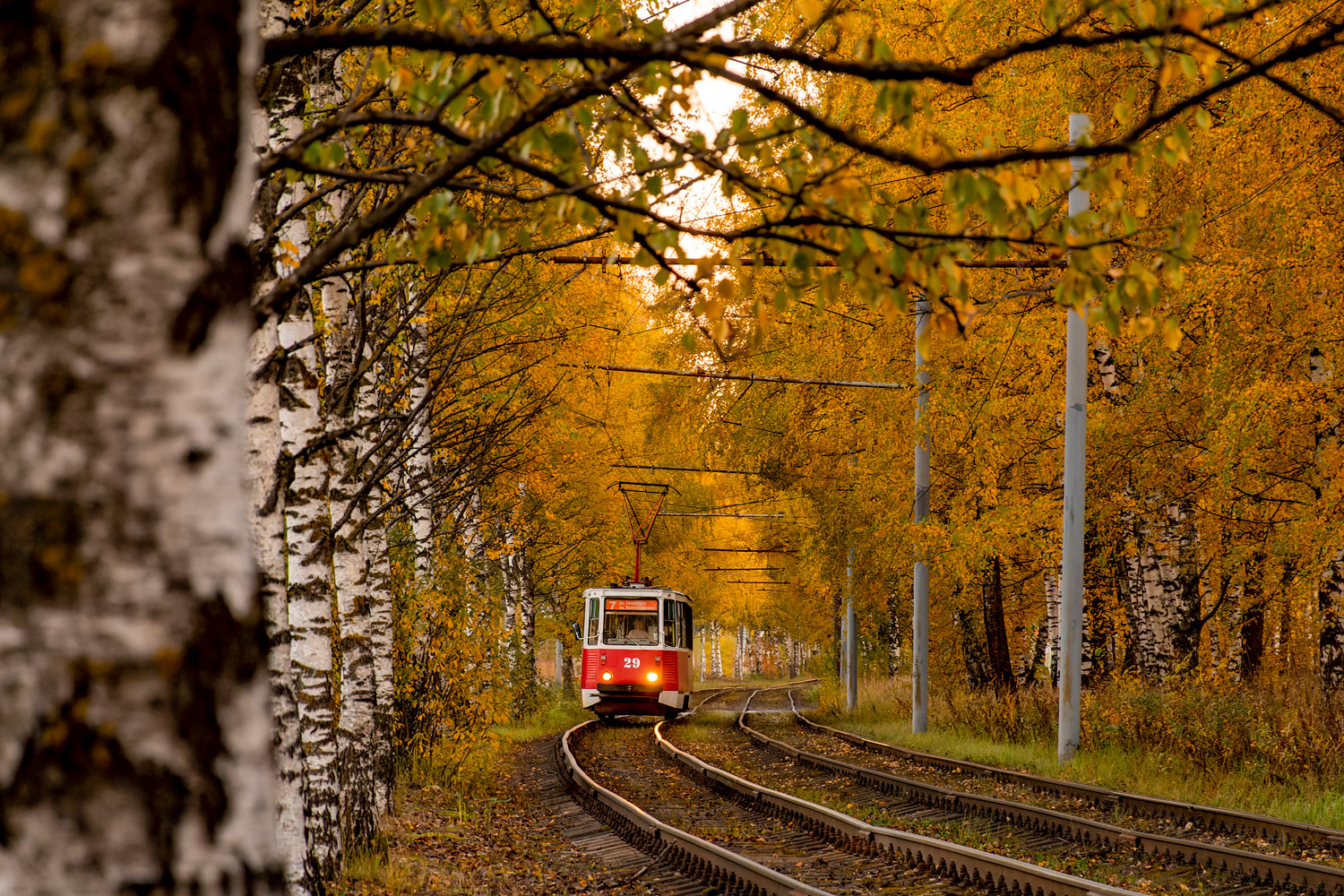 Yaroslavl — Tramway lines
