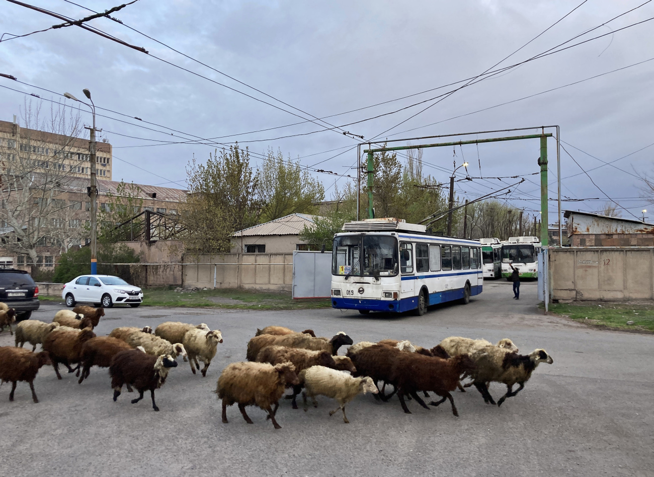 Transport and animals; ერევანი — Trolleybus Lines and Infrastructure