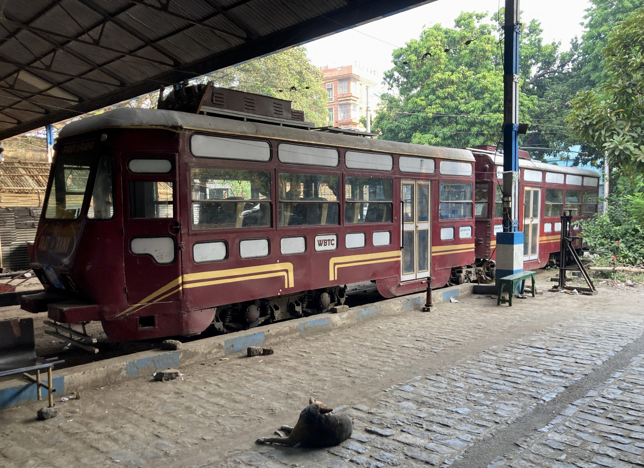 Kolkata, Calcutta Class S Nr 568; Kolkata — Kolkata Tram World Museum; Transport and animals