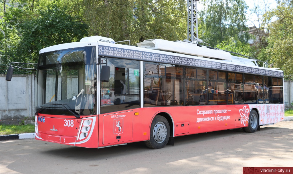 Vladimir, MAZ-203T20 № 308