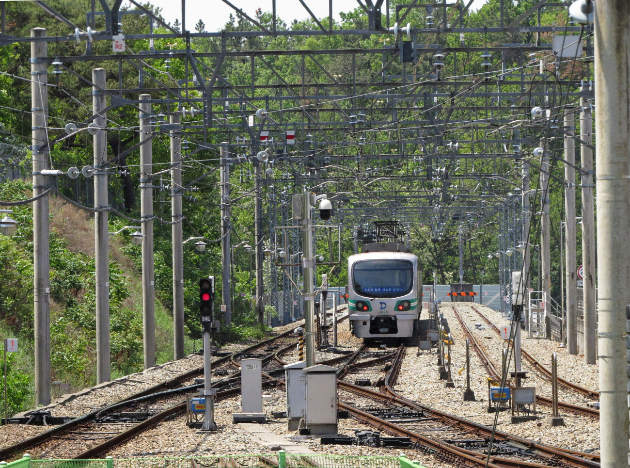 Daegu, Rotem Daegu 2000 Series № 229; Daegu — Metropolitain — Line 2 (2호선)