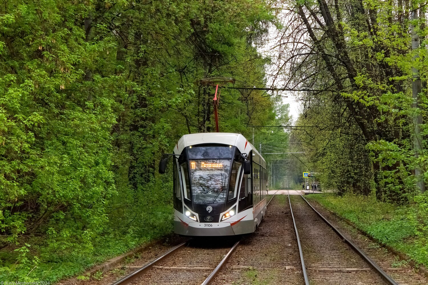 Москва, 71-931М «Витязь-М» № 31106