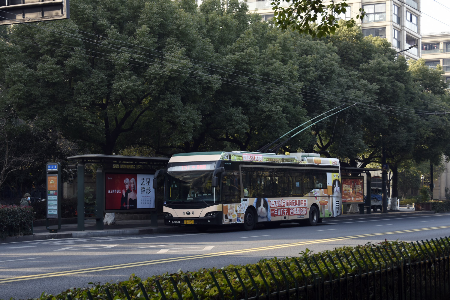 Hangzhou, YoungMan JNP-WG120G # 6-5930
