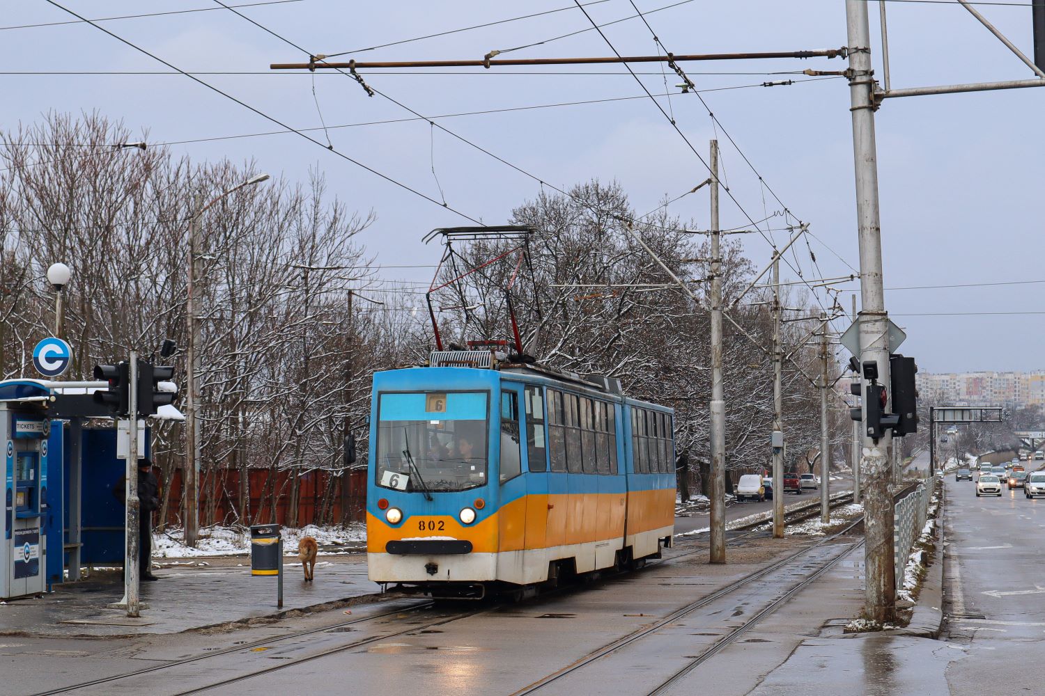 Sofia, T6M-700 F # 802