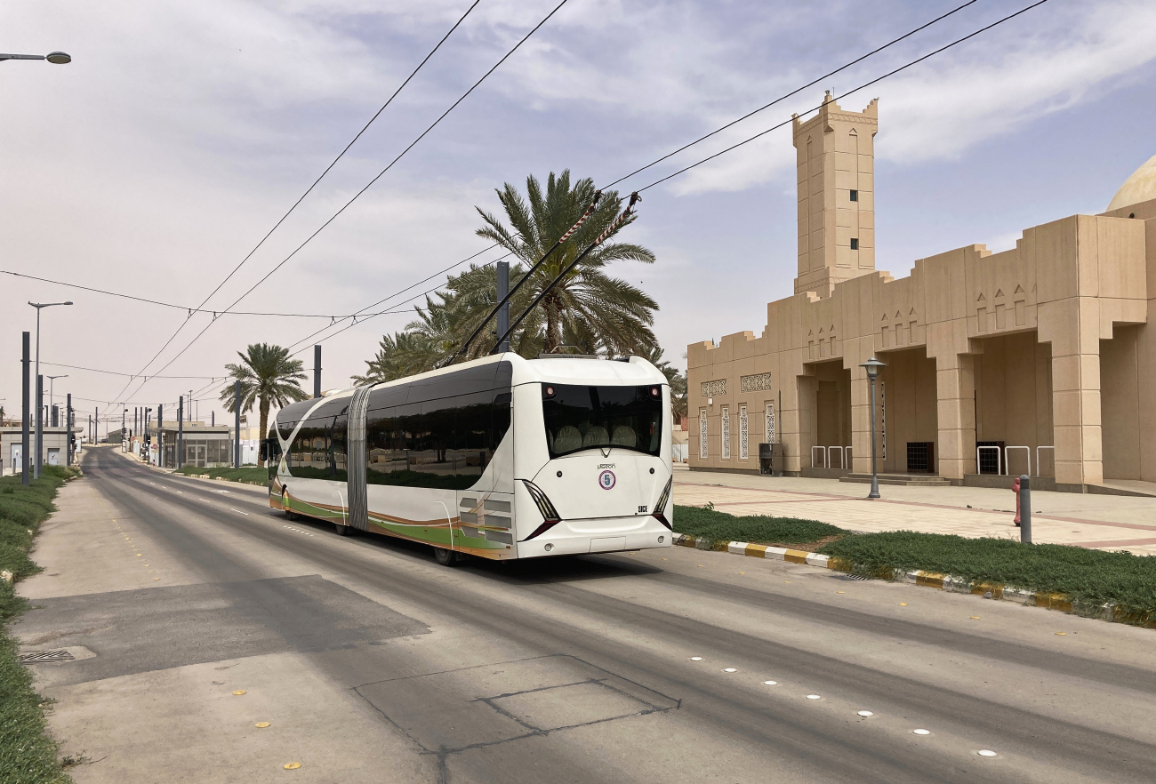 Riad, Viseon LT20 Nr. 5